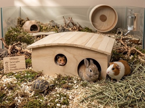 Casetta legno conigli