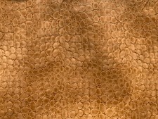 AMP TOLEX ALLIGATORE MARRONE