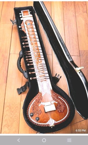 Sitar elettrica custodia - sitar,