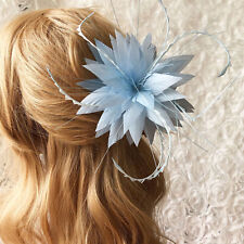 Tinti Colorato Oca Piume