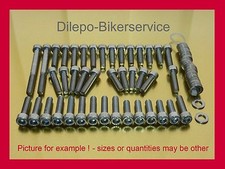 Kit viti in acciaio inox copri