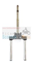 Testa Croce Forcella Con Canne