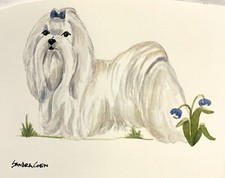 Acquerello originale maltese