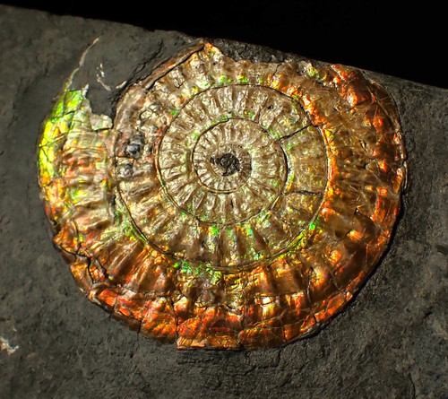 Large sculptural 63mm - , rainbow