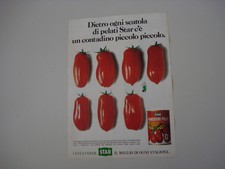 advertising Pubblicità 1981 POMODORI PELATI STAR