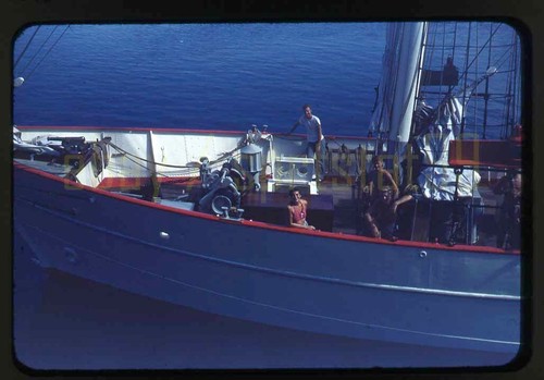 Barca vela 1954 yankee - a, "yankee"