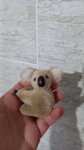 Clip vintage koala - clip,