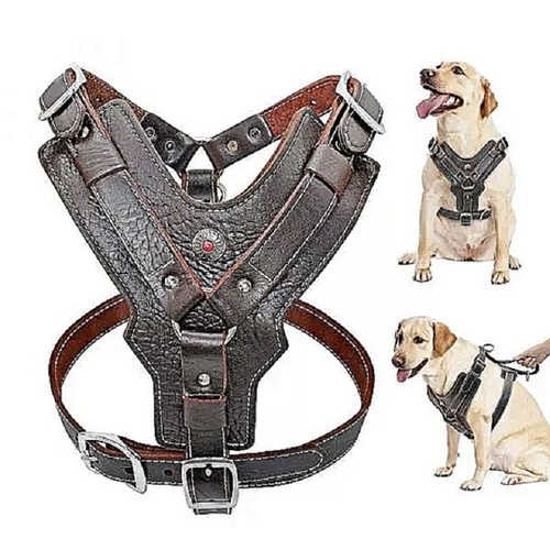 Imbracatura per cani - imbracatura,
