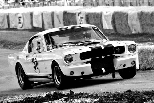 Ford mustang 350 classic - mustang,