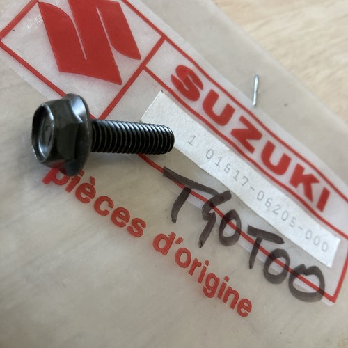 Suzuki 01517 06205 - 01517-06205, motore