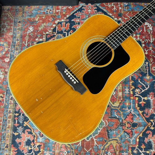 Guild d50 dreadnought - dreadnought, acustica