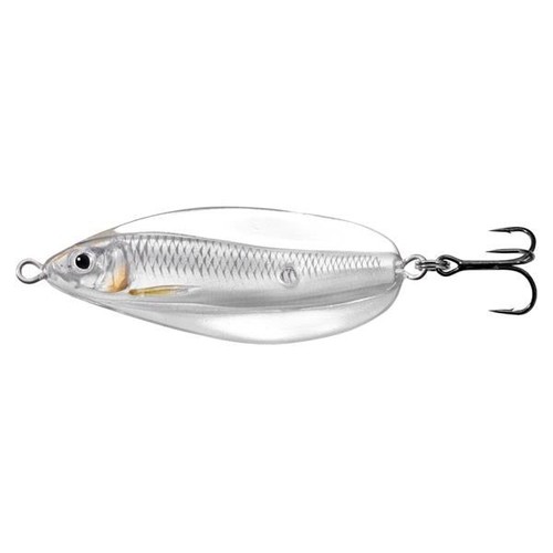 Live target erratic shiner - target,