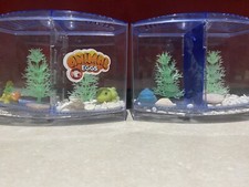 2 acquari con animaletti che crescono nell acqua come nuovi