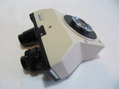 Tubo binoculare olympus serie - binoculare,