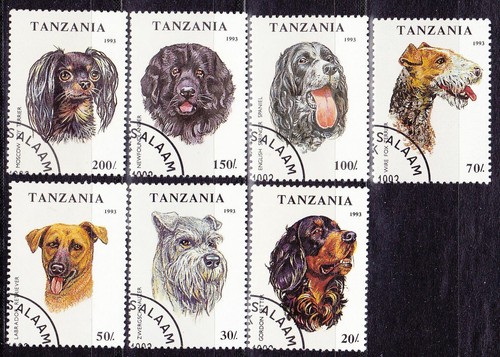 Set completo per cani - , dogs