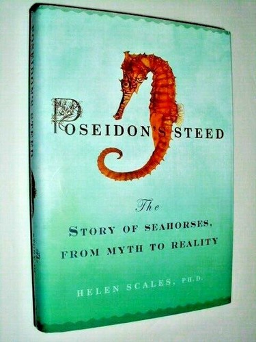Poseidon steed the story - :,
