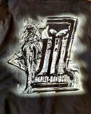 Rare Harley Davidson Racing