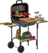 Barbecue a Carbone Con Ruote E