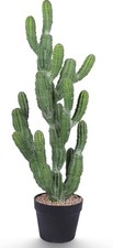 Pianta di cactus artificiale