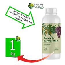 Concime Allegagione BORO 11 % ETANOLAMMINA specifico OLIVO orto KG 1 BIOLOGICO