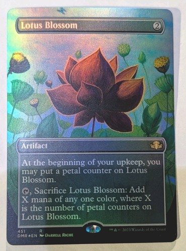 Lotus blossom - lotus, (senza
