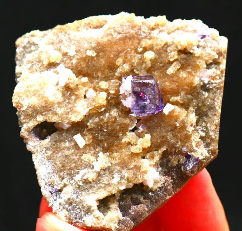 Fantasma viola naturale - g,