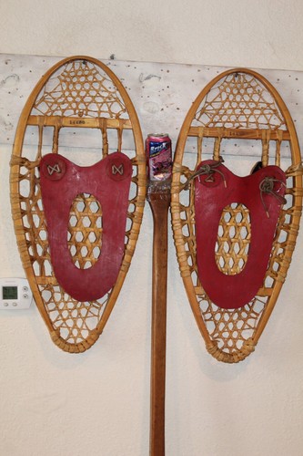 Coppia racchette neve in - racchette,
