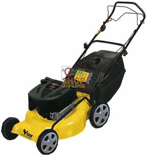 16887 rasaerba vigor 65405b - vigor, wr