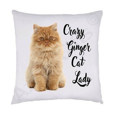 Cuscino per gatti Crazy Ginger