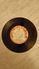 Disco in vinile 45 giri -