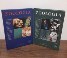 AAVV - ZOOLOGIA - PARTE SISEMATICA PARTE GENERALE [ IDELSON-GNOCCHI ]