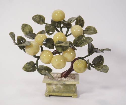 Bonsai vintage albero giada - albero, di