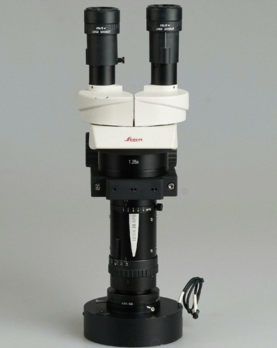 Microscopio stereo leica - stereo, z6