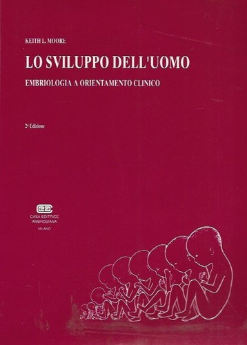 Sviluppo uomo embriologia - uomo,