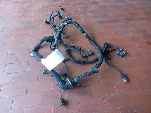 Cablaggio centralina motore - centralina,