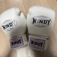 Guantoni da boxe WINDY 8 once