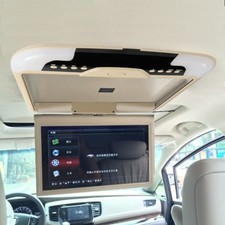 Monitor tetto auto 13 pollici