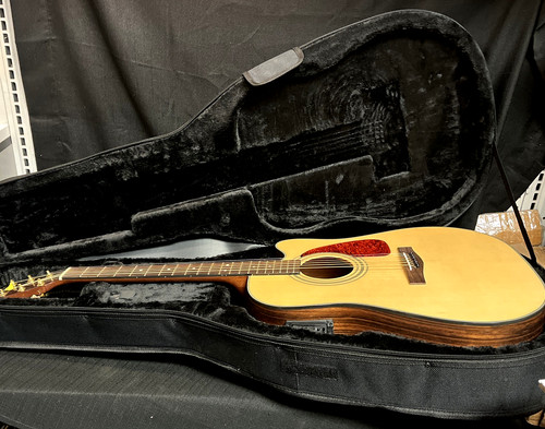 Chitarra elettrica acustica