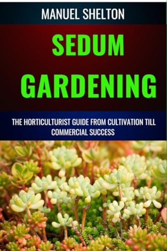 Sedum gardening - sedum,
