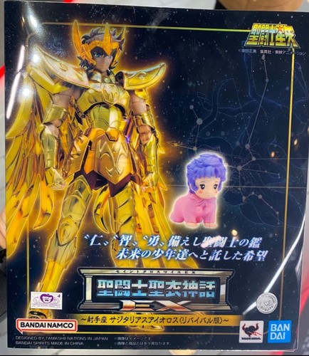 Saint seiya - saint, cloth