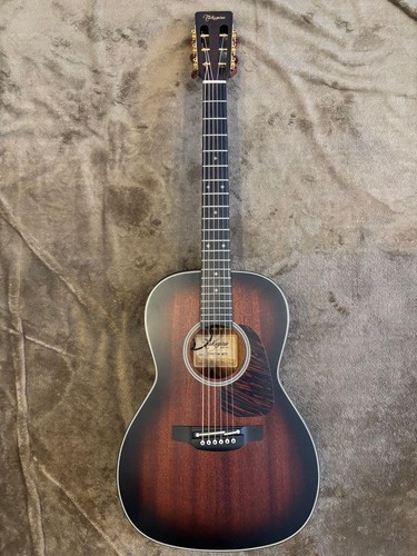 Chitarra elettrica acustica