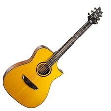 Cort Luxe Frank Gambale