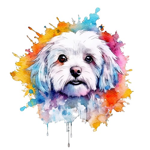 Adesivo auto maltese cani