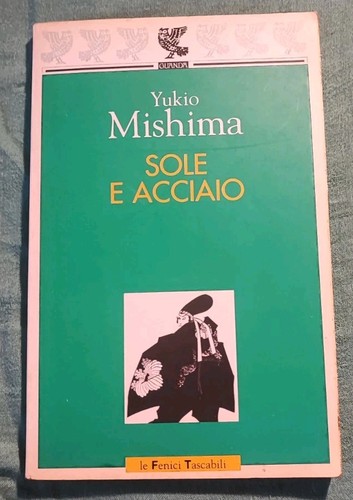 Sole acciaio di - e, acciaio"