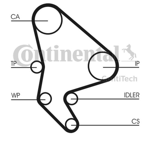 Cinghia distribuzione - cinghia,