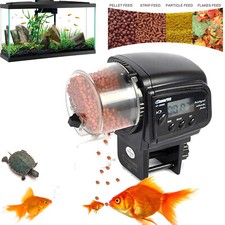 Mangiatoia automatica per