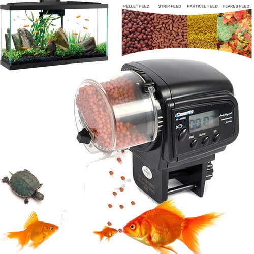 Mangiatoia automatica per