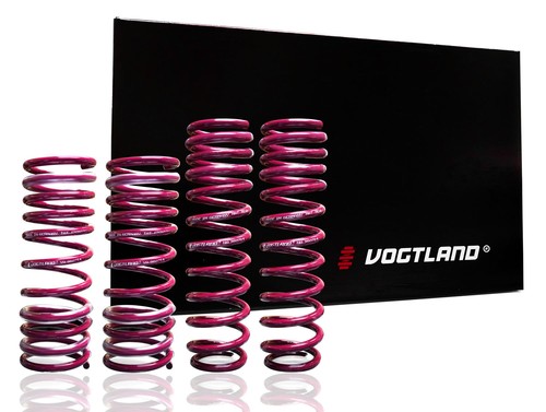 Vogtland german lowering - vogtland,