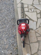 tagliasiepi a scoppio Efco