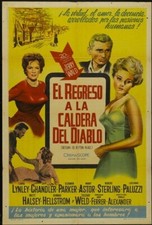 POSTER FILM RITORNO A PEYTON